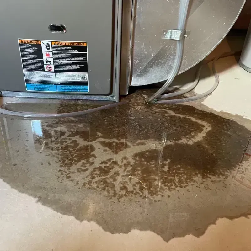 Appliance Leak Cleanup in Hodgkins, IL